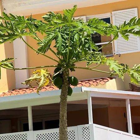 公寓 Americas Pool & Private Patio 10 美洲海滩