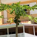 Apartment Americas Camison With Pool And Patio 10 By Tenerife365 Playa de las Americas (Tenerife)